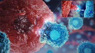 Cell therapy animation